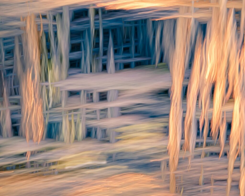 Unlocking Adaptability: Mastering the Law of Requisite Variety